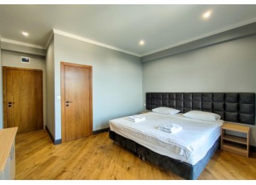 Стандарт  2-местный 1-комнатный с балконом|  Арт-отель Абхазия
